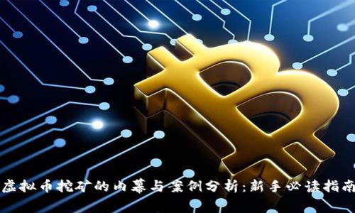 虚拟币挖矿的内幕与案例分析:新手必读指南