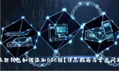 : 小狐狸钱包如何添加BSC链?详尽指南与常见问题解答
