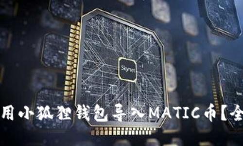 如何使用小狐狸钱包导入MATIC币?全面指南