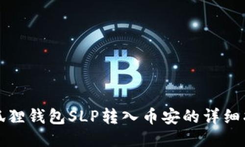 小狐狸钱包SLP转入币安的详细指南