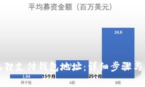 如何查询小狐狸支付钱包地址：详细步骤与常见问题解析