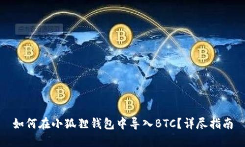 如何在小狐狸钱包中导入BTC？详尽指南
