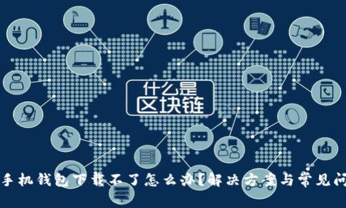 小狐狸手机钱包下载不了怎么办?解决方案与常见问题解析