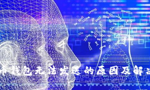 虚拟币钱包无法发送的原因及解决方法