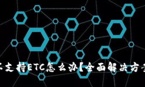 MetaMask不支持ETC怎么办?全面解决方案与使用指南
