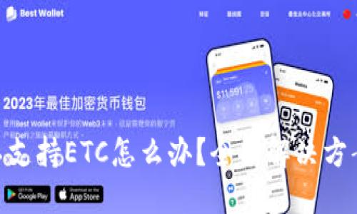 MetaMask不支持ETC怎么办?全面解决方案与使用指南