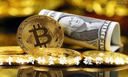 小狐狸钱包中的两种金额:掌握你的数字资产管理