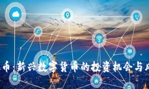 WH虚拟币:新兴数字货币的投资机会与风险分析