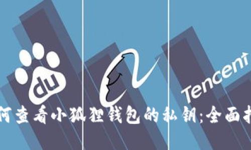 如何查看小狐狸钱包的私钥:全面指南