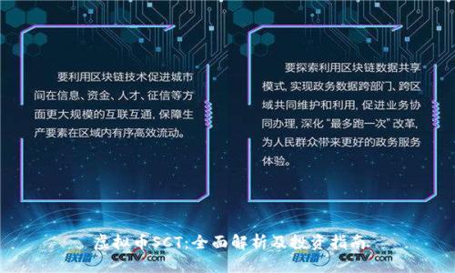 虚拟币SCT：全面解析及投资指南