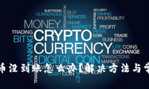 小狐狸钱包币没到账怎么办？解决方法与常见问题详解