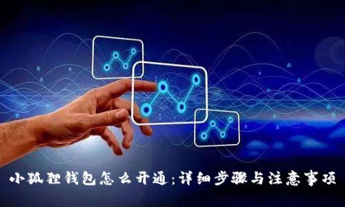 小狐狸钱包怎么开通:详细步骤与注意事项