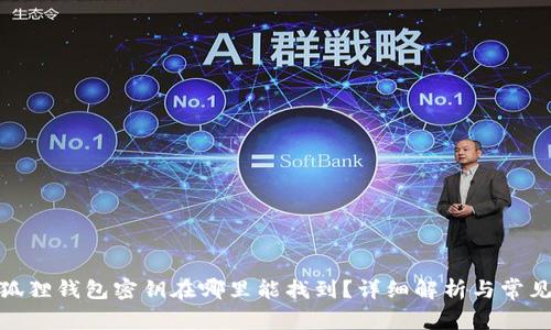 : 小狐狸钱包密钥在哪里能找到?详细解析与常见问题