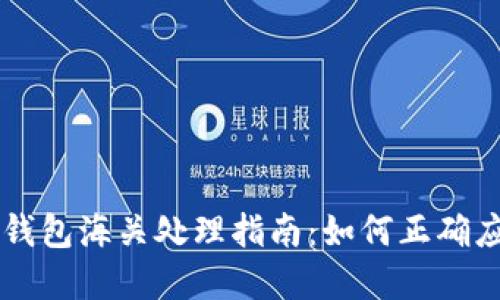 虚拟币电子钱包海关处理指南：如何正确应对海关检查