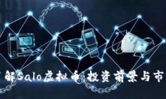 深入了解Salo虚拟币：投资