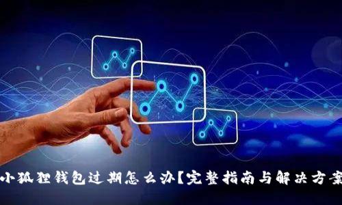 小狐狸钱包过期怎么办?完整指南与解决方案