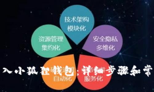 如何将钱导入小狐狸钱包:详细步骤和常见问题解答