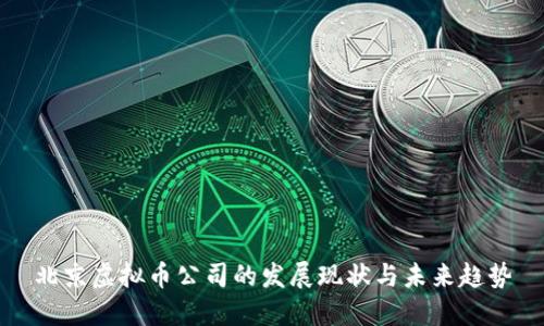北京虚拟币公司的发展现状与未来趋势