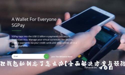 小狐狸钱包秘钥忘了怎么办?全面解决方案与预防措施
