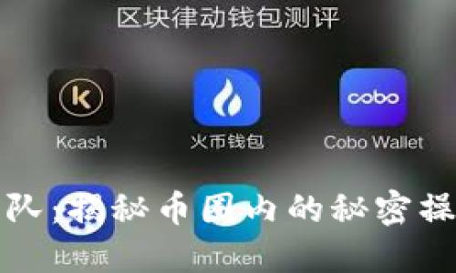 虚拟币拉升团队:揭秘币圈内的秘密操作与投资机会