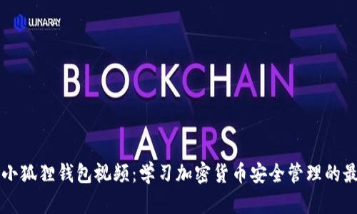 中本聪小狐狸钱包视频:学习加密货币安全管理的最佳指南