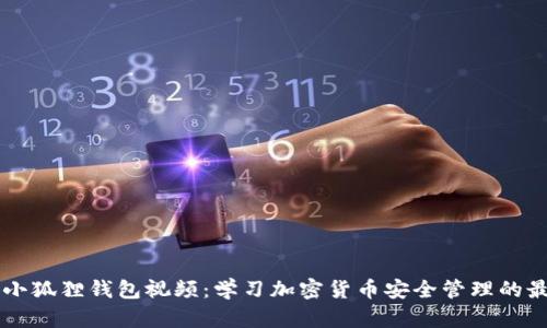 中本聪小狐狸钱包视频:学习加密货币安全管理的最佳指南