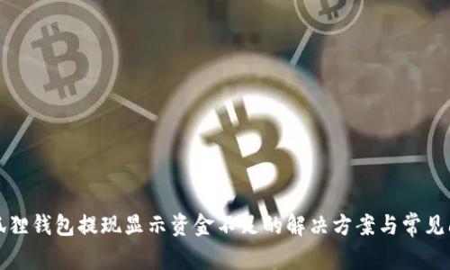 小狐狸钱包提现显示资金不足的解决方案与常见问题