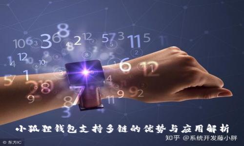 小狐狸钱包支持多链的优势与应用解析