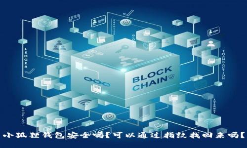 小狐狸钱包安全吗?可以通过指纹找回来吗?