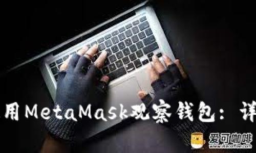如何使用MetaMask观察钱包: 详尽指南
