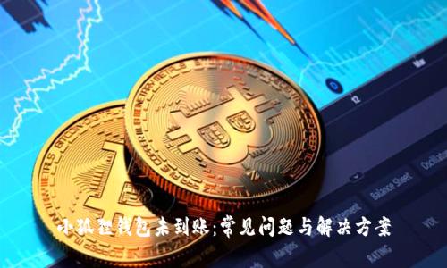 小狐狸钱包未到账:常见问题与解决方案