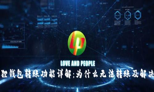 小狐狸钱包转账功能详解：为什么无法转账及解决方法