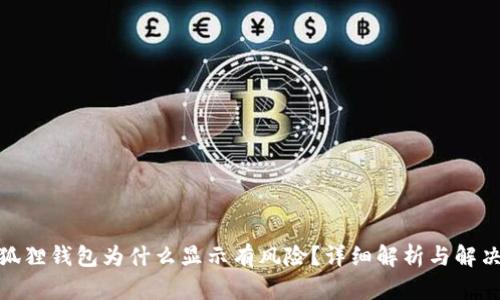 : 小狐狸钱包为什么显示有风险?详细解析与解决方案