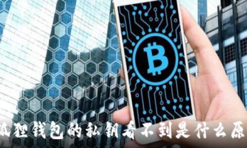 小狐狸钱包的私钥看不到是什么原因?