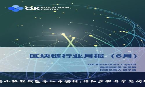 如何将小狐狸钱包导入币安链:详细步骤与常见问题解答