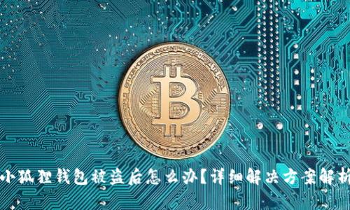 小狐狸钱包被盗后怎么办？详细解决方案解析