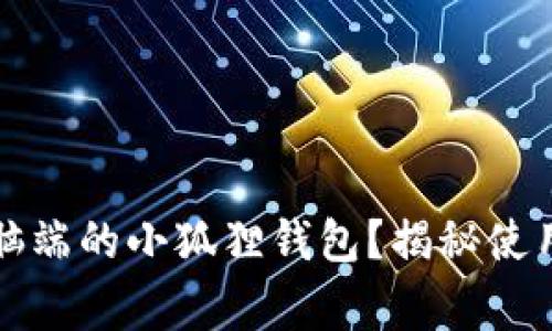 如何快速找到电脑端的小狐狸钱包？揭秘使用技巧与常见问题