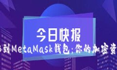 轻松添加SHIB到MetaMask钱包