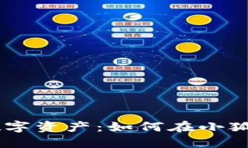 告别繁琐，轻松掌控数字资产：如何在小狐狸钱包中提取CORE币