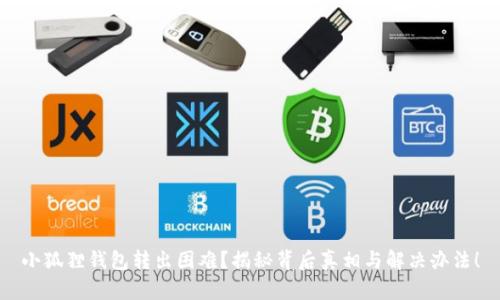 小狐狸钱包转出困难？揭秘背后真相与解决办法！