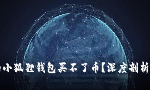 为什么你的小狐狸钱包买不了币？深度剖析与解决方案