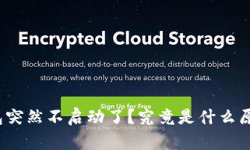 小狐狸钱包突然不启动了？究竟是什么原因导致的？