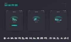 当小狐狸钱包遇到加载障