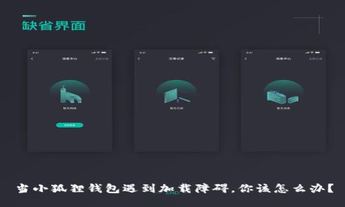 当小狐狸钱包遇到加载障碍，你该怎么办？