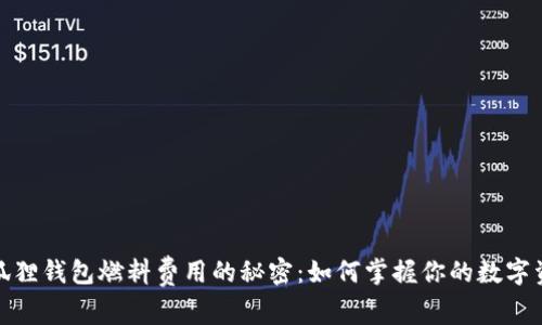 探索小狐狸钱包燃料费用的秘密：如何掌握你的数字资产管理
