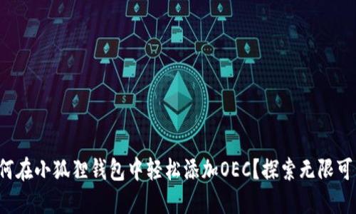 如何在小狐狸钱包中轻松添加OEC？探索无限可能！