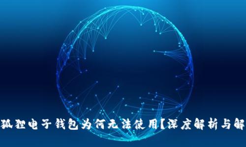 【你的小狐狸电子钱包为何无法使用？深度解析与解决方案】