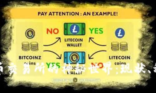 探索中国虚拟币交易所的神秘世界：现状、种类与未来发展