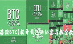 MetaMask能否存储BTC？揭开钱