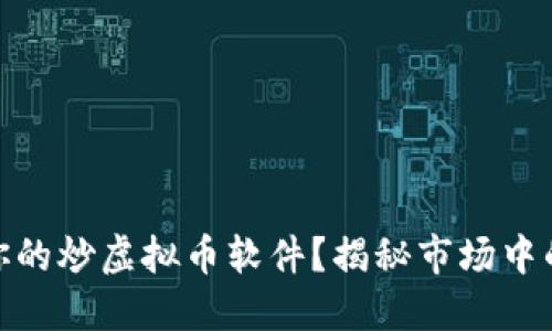 如何选择最适合你的炒虚拟币软件？揭秘市场中的潜在风险与机会